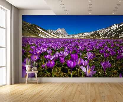 Carpet of Wild Mountain Crocus Flowers Wall Mural