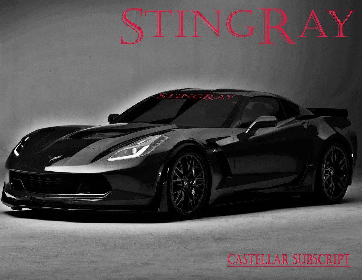 Windshield Decal "STINGRAY" Corvette Banner Visor Sticker Choose your font - Let's Print Big