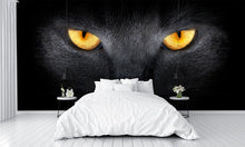 Cats Eyes in the Dark Wall Mural