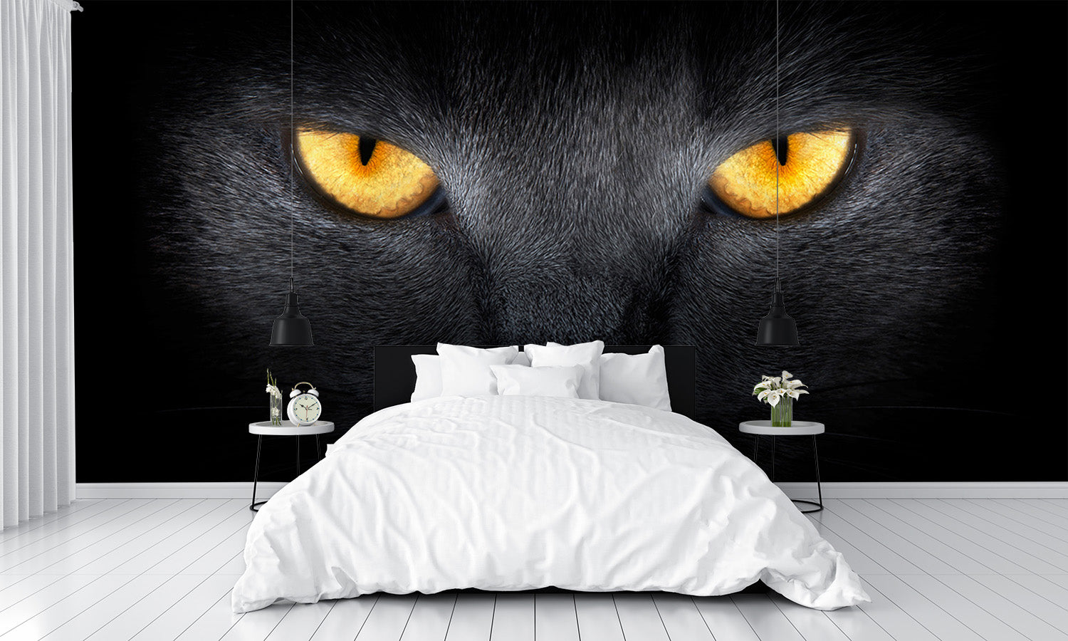 Cats Eyes in the Dark Wall Mural