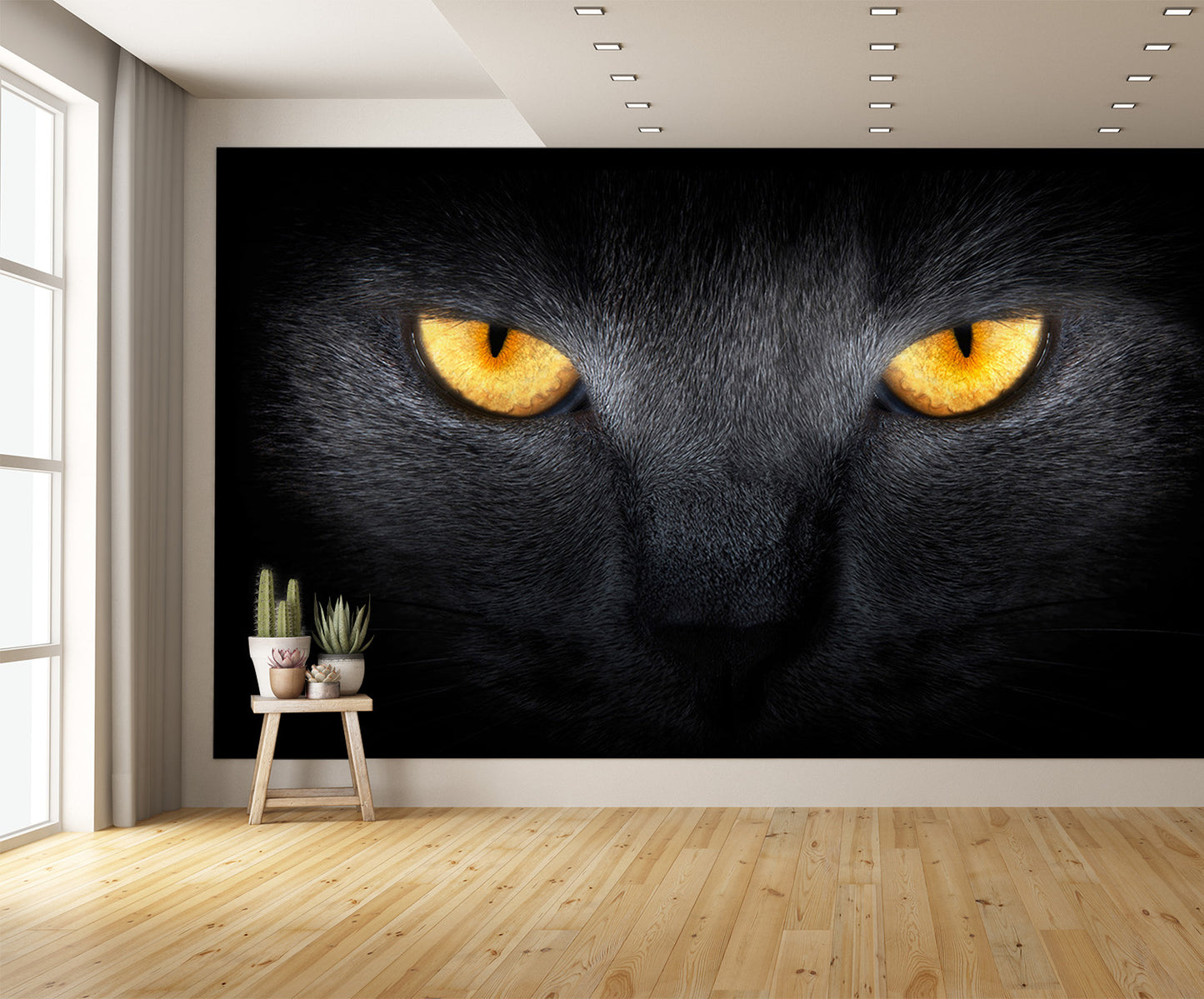 Cats Eyes in the Dark Wall Mural