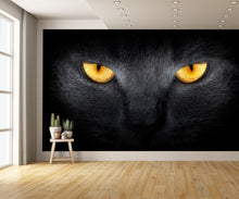 Cats Eyes in the Dark Wall Mural