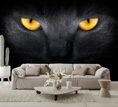 Cats Eyes in the Dark Wall Mural