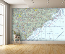 Aeronautical Chart Charlotte Wall Mural