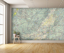 Aeronautical Chart Cincinnati Wall Mural