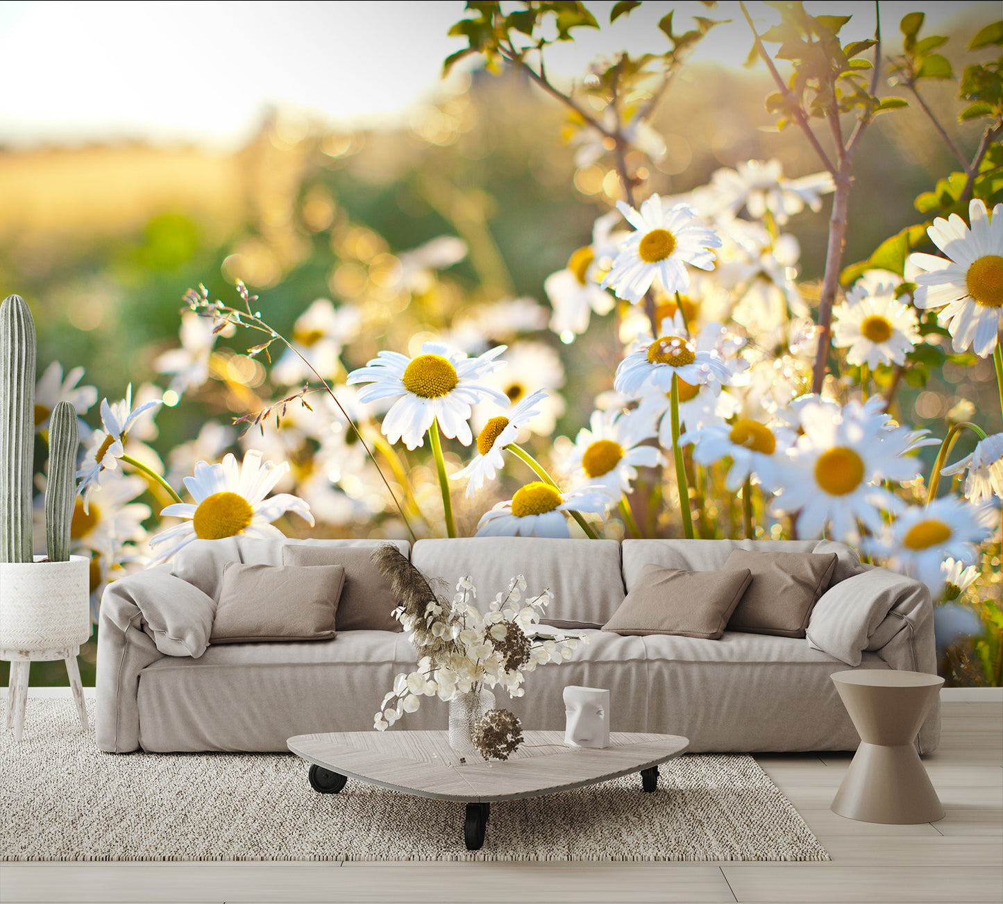 Closeup of Beautiful White Daisy Flowers Wall Mural