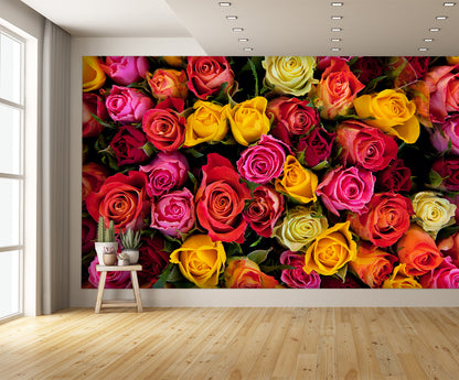 Colorful Roses Wall Mural