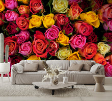 Colorful Roses Wall Mural
