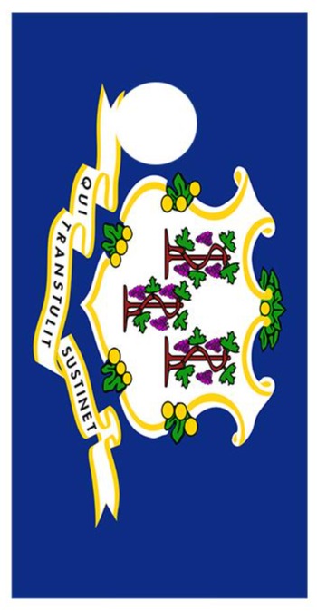 Flag of Connecticut Cornhole Decal Wrap