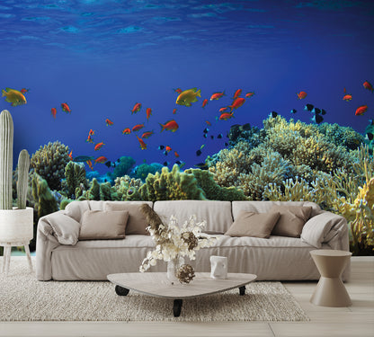 Coral Reef A Wall Mural