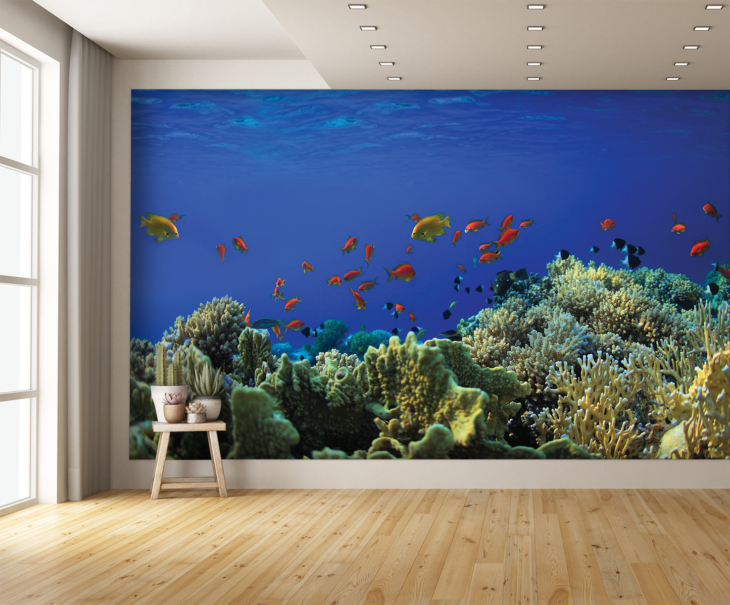 Coral Reef A Wall Mural
