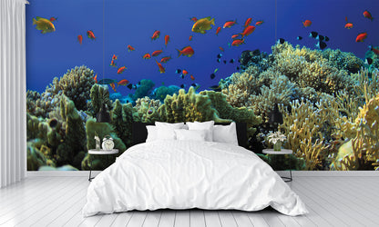 Coral Reef A Wall Mural