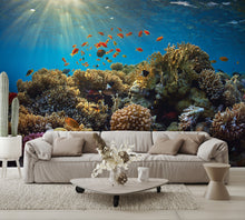 Coral Reef B Wall Mural