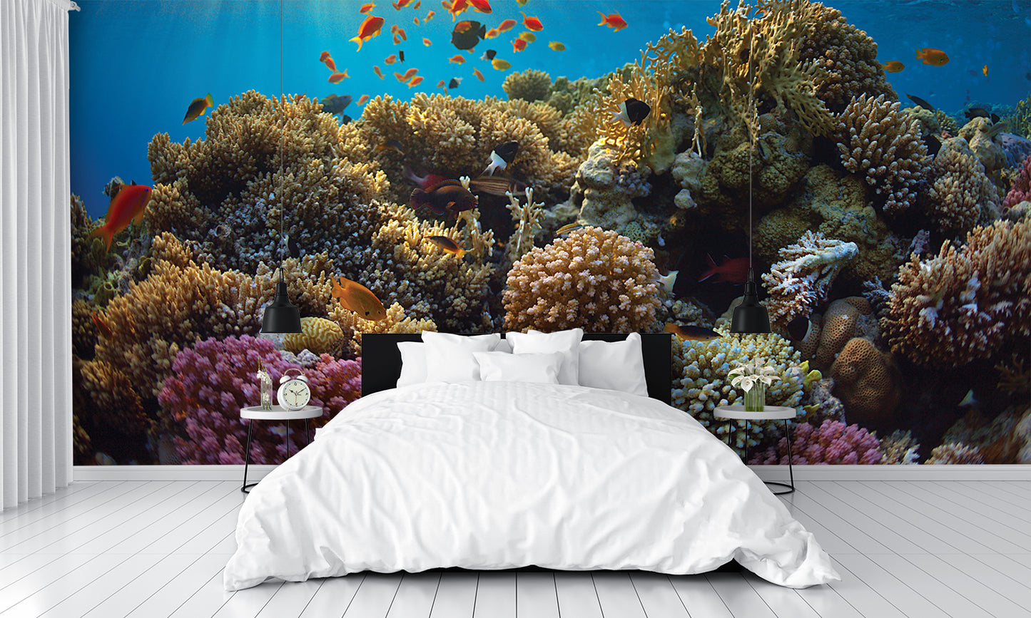 Coral Reef B Wall Mural