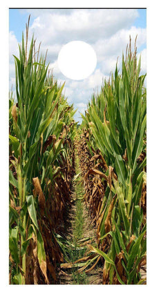 Corn Rows Design A CornHole Skins Board Decal Wrap - Let's Print Big