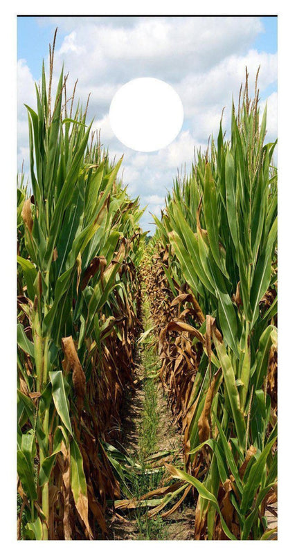 Corn Rows Design A CornHole Skins Board Decal Wrap - Let's Print Big