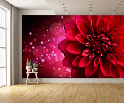 Dahlia Flower Wall Mural
