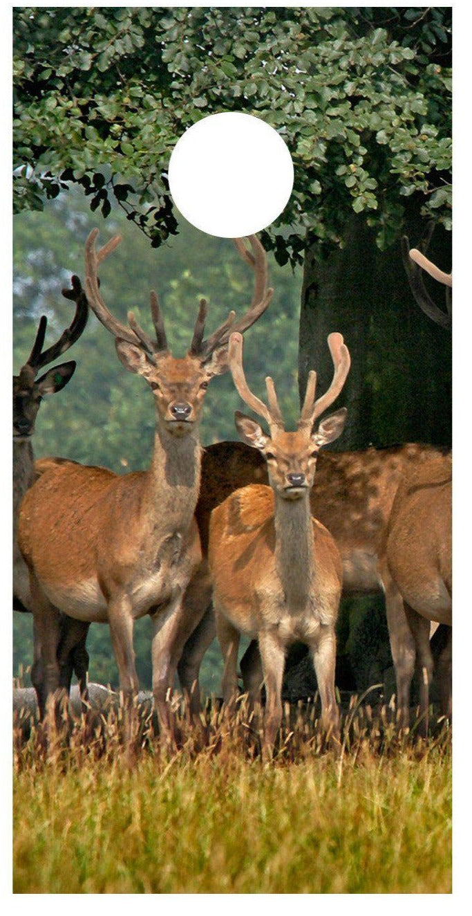 in Trees Cornhole Corn Board Hole Wraps Decal Skins