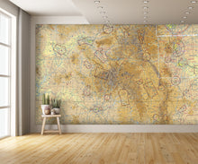 Aeronautical Chart Denver Wall Mural
