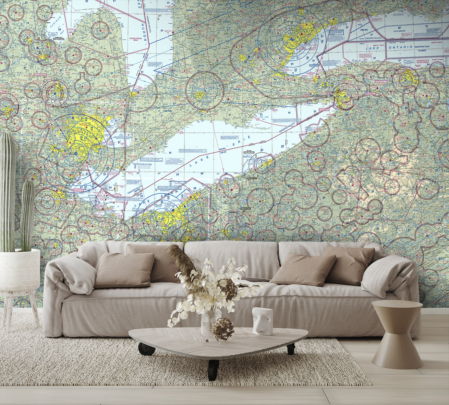 Aeronautical Chart Detroit Wall Mural