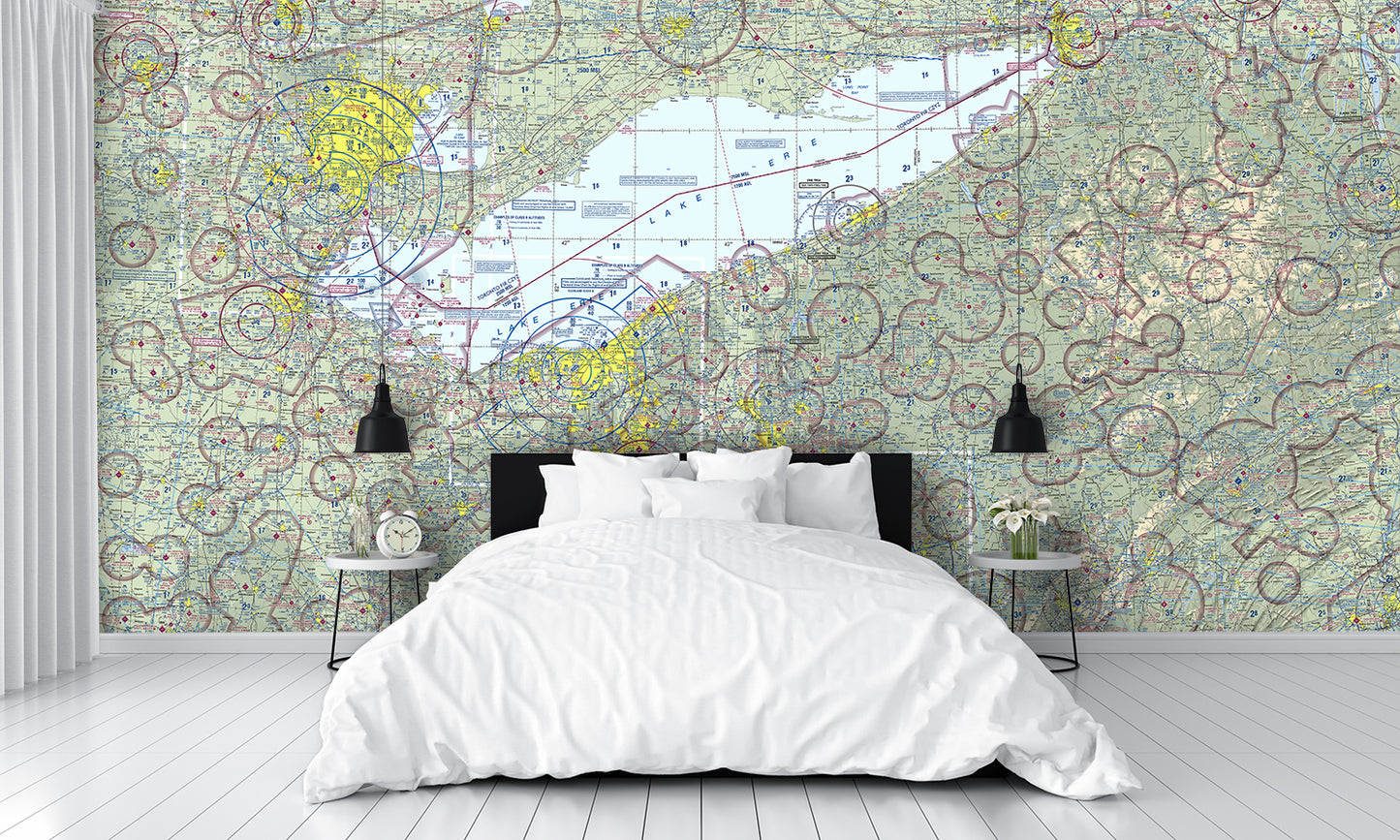 Aeronautical Chart Detroit Wall Mural