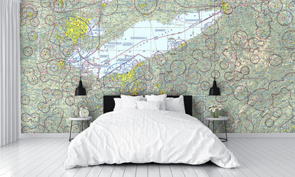 Aeronautical Chart Detroit Wall Mural