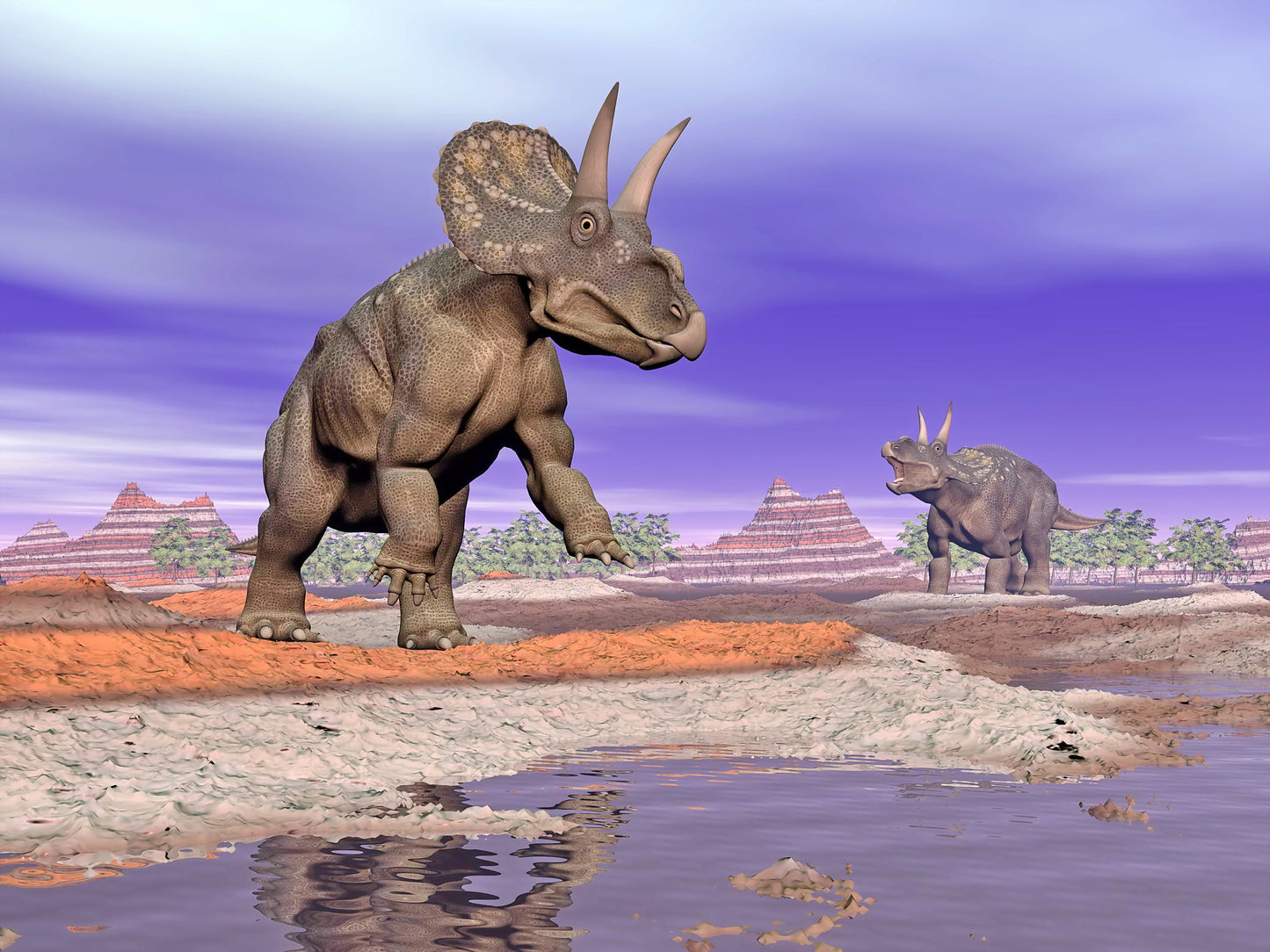 Diceratops Dinosaurs in Nature Wall Mural