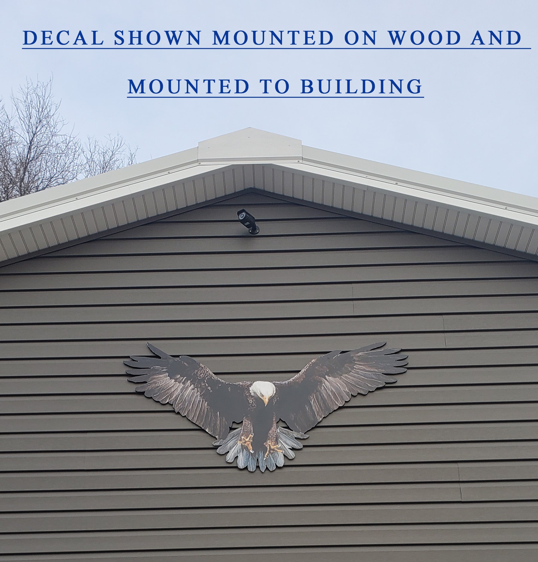 Bald Eagle 4 Large Wall Eagles Decals Indoors or Outdoors