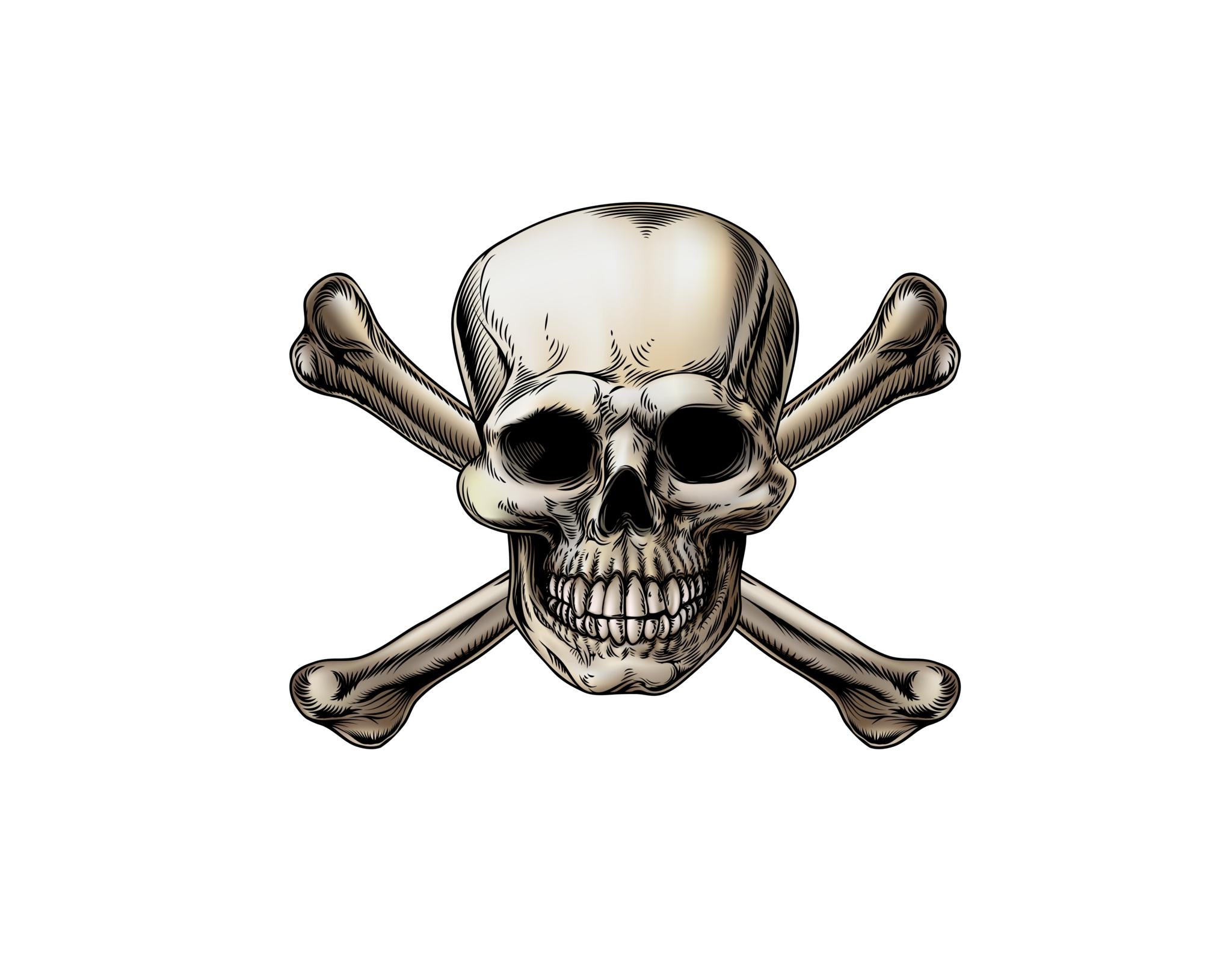 Skull and Crossbones Decal - Let's Print Big