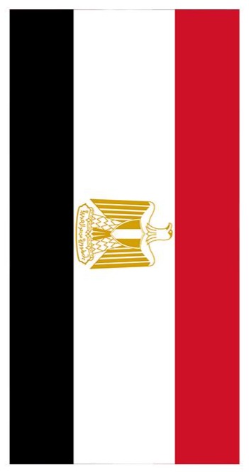 Flag of Egypt Cornhole Decal Wrap