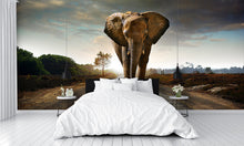 Elephant Walking Down the Road Wall Mural