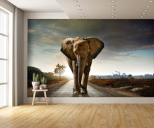 Elephant Walking Down the Road Wall Mural