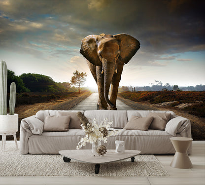 Elephant Walking Down the Road Wall Mural