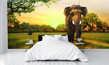 Elephant Walking at Sunset Wall Mural
