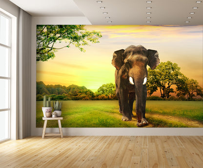 Elephant Walking at Sunset Wall Mural