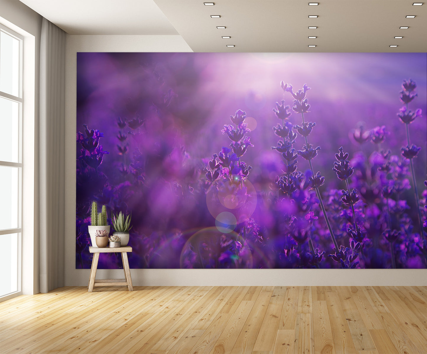 Field Lavender Flowers Wall Mural