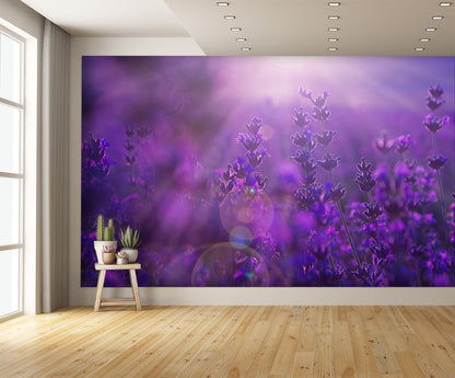 Field Lavender Flowers Wall Mural