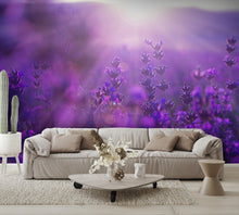 Field Lavender Flowers Wall Mural