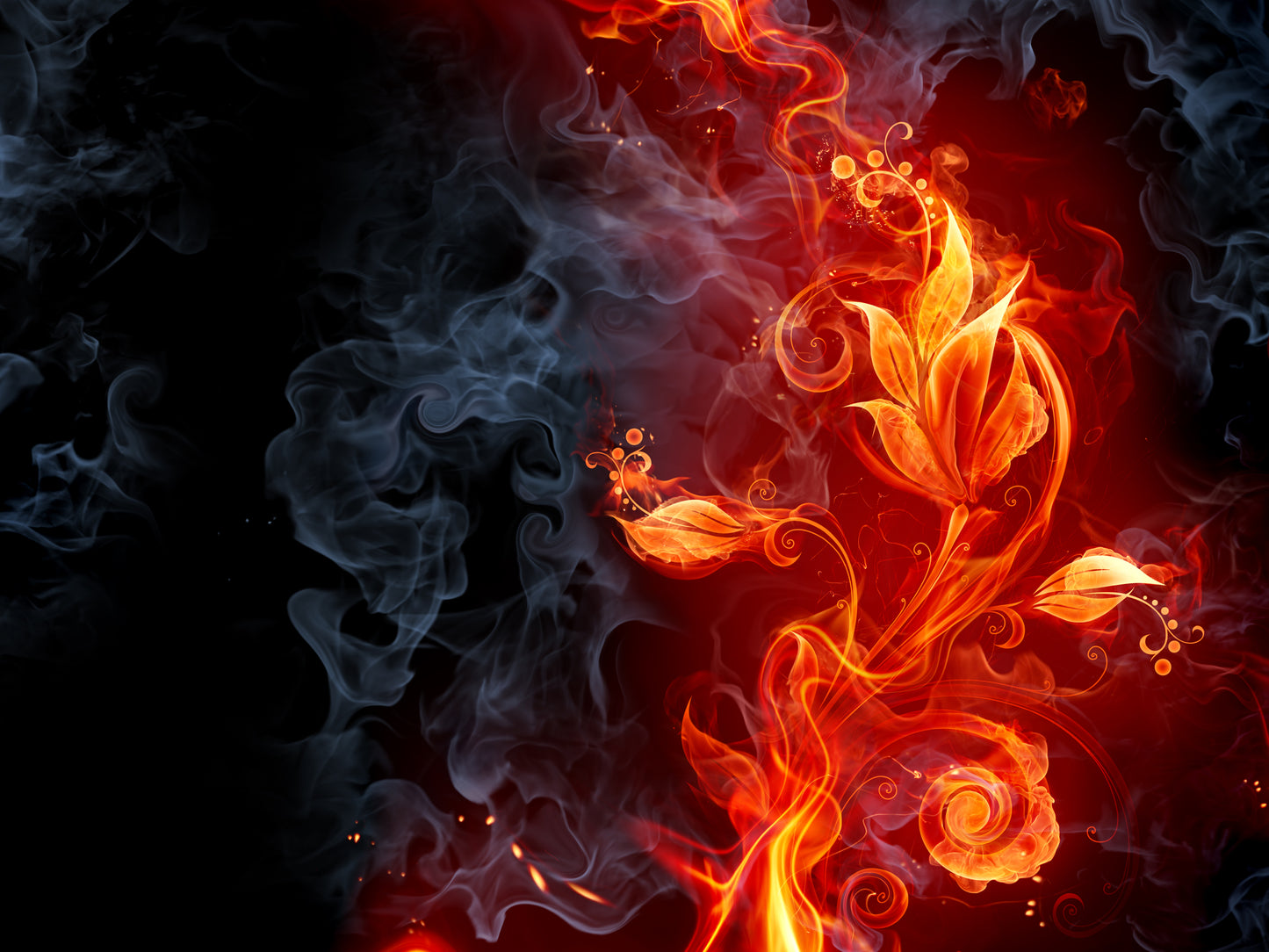 Fiery Flower Wall Mural