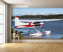 Float Plane on Beluga Lake Wall Mural