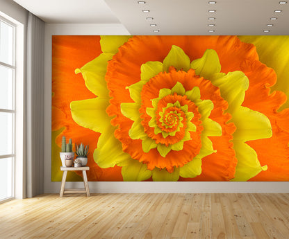 Flower Spiral Orange Yellow Wall Mural