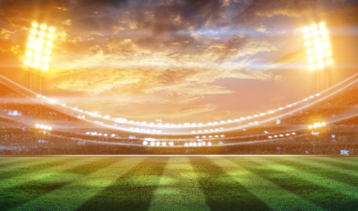 Football Stadium Wall Mural