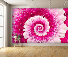 Gerber Flower Infinity Spiral Wall Mural