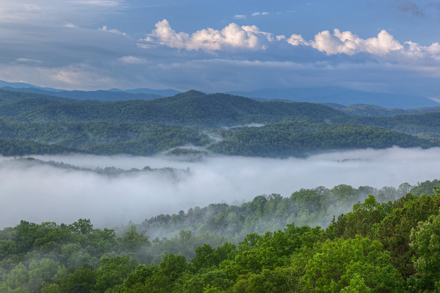 The Great Smoky Mountains Wall Mural