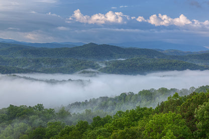 The Great Smoky Mountains Wall Mural