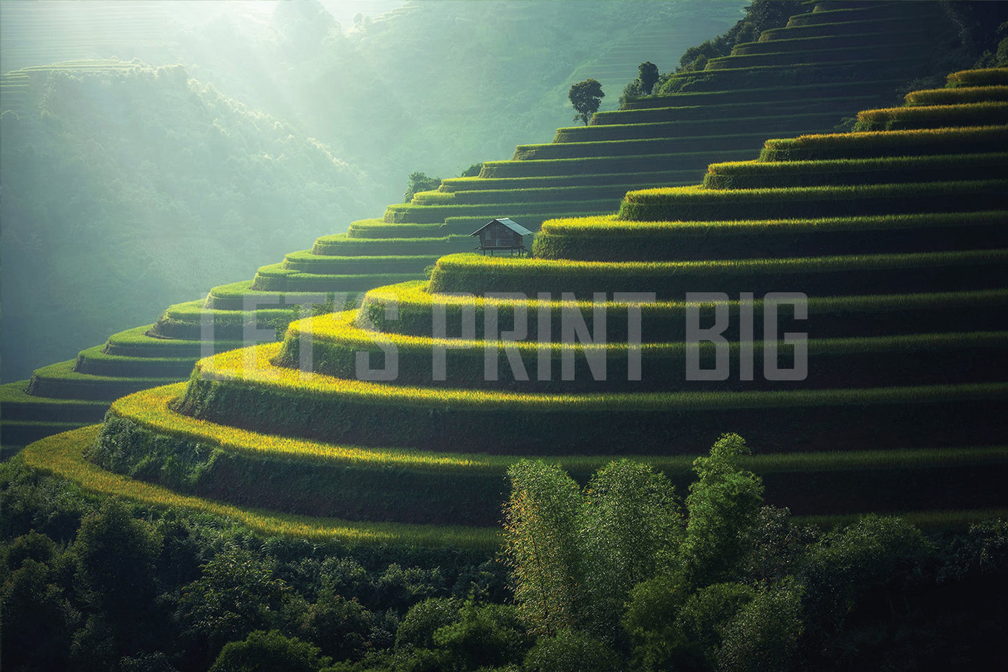 Hillside Rice Field Terraces Wall Mural