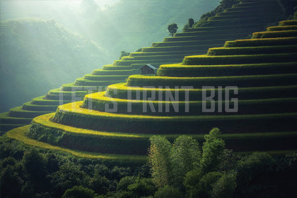 Hillside Rice Field Terraces Wall Mural