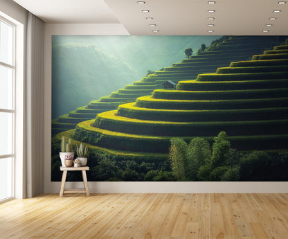 Hillside Rice Field Terraces Wall Mural