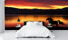 Horse Running at Sunset Wall Mural