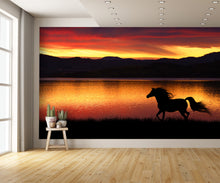 Horse Running at Sunset Wall Mural